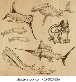 Underwater, Sea Life (vector set no.3)  - Collection of an hand drawn illustrations. Description: Each drawing comprise of two basic layers of outlines, the colored background is isolated.