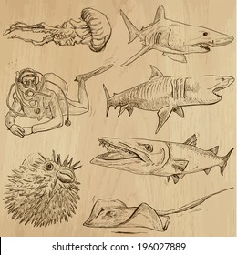 Underwater, Sea Life (vector set no.2)  - Collection of an hand drawn illustrations. Description: Each drawing comprise of two basic layers of outlines, the colored background is isolated.