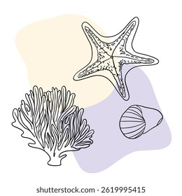 Planta náutica submarina, Seastar, coral e algas. Esboço marinho tropical aquático.  Coleções de arte desenhadas à mão 