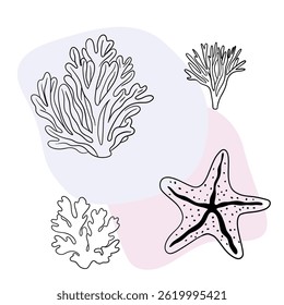 Planta náutica submarina, Seastar, coral e algas. Esboço marinho tropical aquático.  Coleções de arte desenhadas à mão 