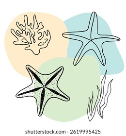 Planta náutica submarina, Seastar, coral e algas. Esboço marinho tropical aquático.  Coleções de arte desenhadas à mão 