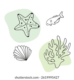 Underwater sea nature plant, Seastar, coral and algae. Tropical aqua marine sketch.  Hand drawn line art collections 