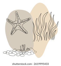 Planta náutica submarina, Seastar, coral e algas. Esboço marinho tropical aquático.  Coleções de arte desenhadas à mão 