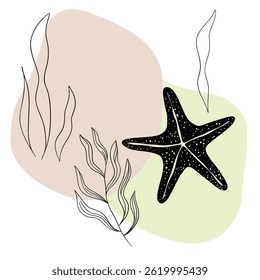 Planta náutica submarina, Seastar, coral e algas. Esboço marinho tropical aquático.  Coleções de arte desenhadas à mão 