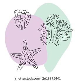 Planta náutica submarina, Seastar, coral e algas. Esboço marinho tropical aquático.  Coleções de arte desenhadas à mão 