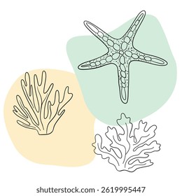 Planta náutica submarina, Seastar, coral e algas. Esboço marinho tropical aquático.  Coleções de arte desenhadas à mão 