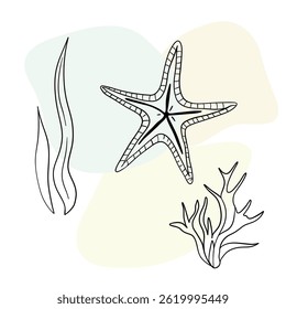 Planta náutica submarina, Seastar, coral e algas. Esboço marinho tropical aquático.  Coleções de arte desenhadas à mão 