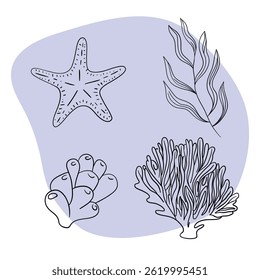 Planta náutica submarina, Seastar, coral e algas. Esboço marinho tropical aquático.  Coleções de arte desenhadas à mão 