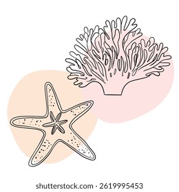 Planta náutica submarina, Seastar, coral e algas. Esboço marinho tropical aquático.  Coleções de arte desenhadas à mão 