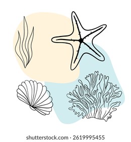 Planta náutica submarina, Seastar, coral e algas. Esboço marinho tropical aquático.  Coleções de arte desenhadas à mão 