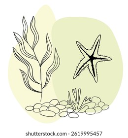 Planta náutica submarina, Seastar, coral e algas. Esboço marinho tropical aquático.  Coleções de arte desenhadas à mão 
