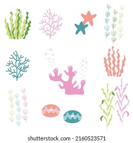 Underwater Sea Plants, Shells and Corals, Flat Illustration, Premium Vector