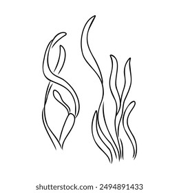 Underwater sea weed, laminaria spirulina seaweed sketch icon.