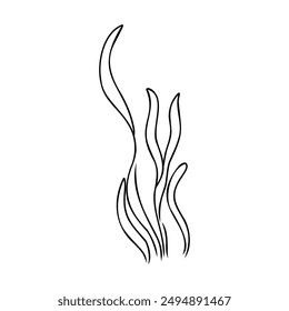Underwater sea weed, laminaria spirulina seaweed sketch icon.