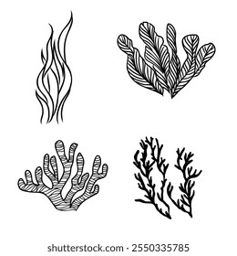 Underwater sea weed, laminaria spirulina seaweed sketch icon.