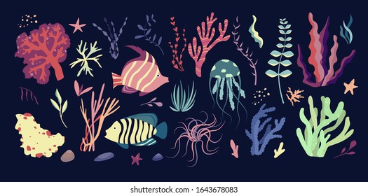 Underwater sea world dwellers, flora and fauna elements. Algae, coral reef, fishes and medusa. Vector cartoon illustration.