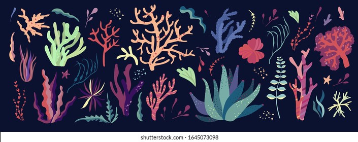 Underwater sea world dwellers, flora and fauna elements. Algae, coral reef, kelp. Vector cartoon illustration.