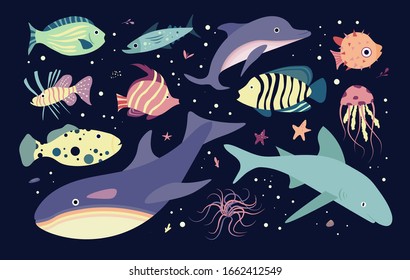 Underwater sea world dwellers, flora and fauna elements. Fishes and medusa, dolphin, killer, whale shark. Vector cartoon illustration.