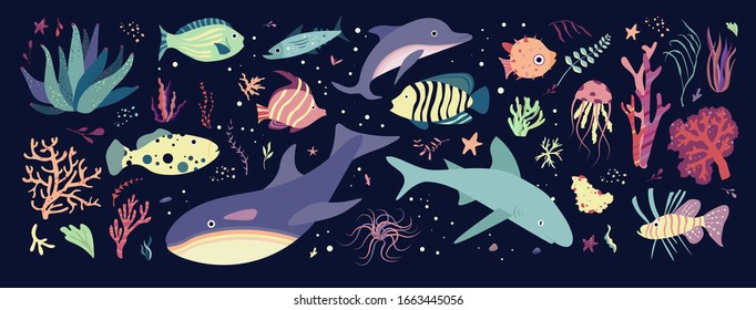 Underwater sea world dwellers, flora and fauna elements. Fishes and medusa, dolphin, killer, whale shark. Vector cartoon illustration.