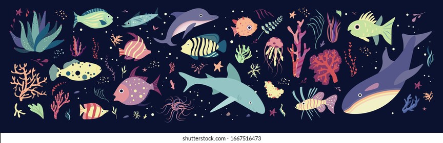 Underwater sea world dwellers, flora and fauna elements. Fishes and medusa, dolphin, killer, whale, shark. Vector cartoon illustration.