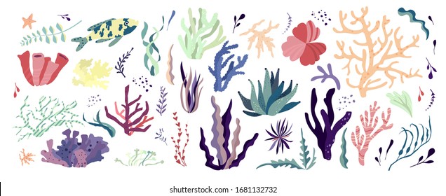Underwater sea world dwellers, flora and fauna elements. Algae, coral reef, fishes and medusa. Vector cartoon illustration.