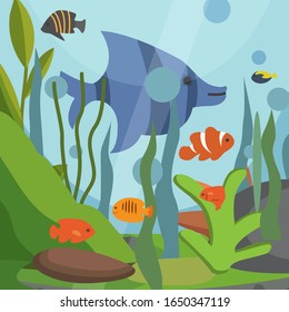 Underwater seascape with exotic fish vector illustration backdrop. Sea plants, fish, blue bubbles of water background. Natural south tropical sealife for zoo aquarium shop or traveling agency poster.