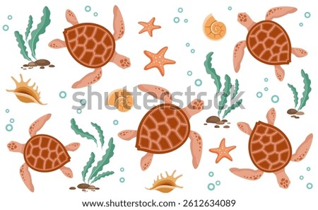 Underwater seascape. Sea turtle background. Sea turtles, algae, starfish, seashells. Ocean life, marine nature, flora and fauna. Isolated. Vector illustration