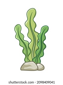 Underwater seaweed cartoon vector illustration clipart