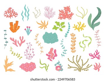 Underwater seaweed collection, corals and algae. Ocean plants, natural aquarium decor elements. Cartoon sea leaves, isolated nowaday vector set