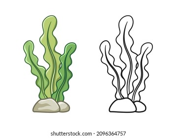 Underwater seaweed colored and outline set vector illustration clipart