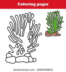 Underwater seaweed , coral reef plants coloring activity for kids , kindergarten worksheet clipart