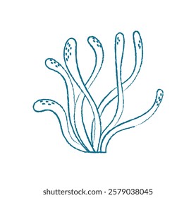 Underwater seaweed doodle. Aquatic plant illustration. Marine flora, flat style, perfect for summer themes and undersea projects. Ideal for posters, flyers, and educational materials.