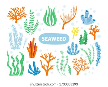 Underwater Seaweed set. Ocean coral-reef plants and algae. Aquarium corals, seaweed. Sea cartoon wildlife collection.