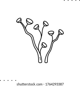 Icono del vector de algas marinas submarinas en contornos 
