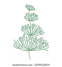 Underwater seaweed vector illustration. Hand drawn algae vector clipart