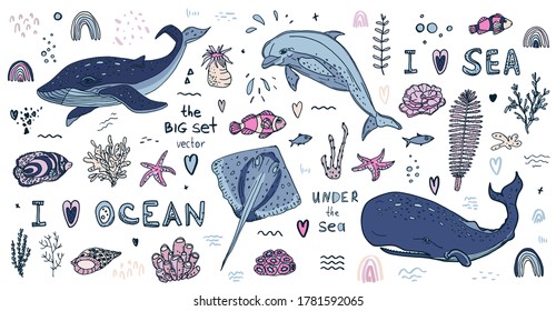 Underwater. Set with elements of marine life. Fish of the oceans and seas, algae. Cartoon set of marine life items for your design, prints. Drawn by hand. On a white background. Vector.