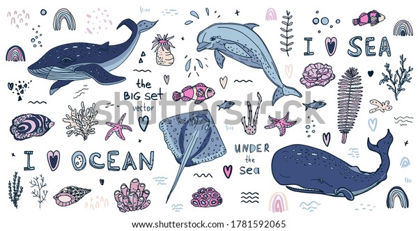 Underwater. Set with elements of marine life. Fish of the oceans and seas, algae. Cartoon set of marine life items for your design, prints. Drawn by hand. On a white wall. 