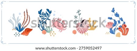 Underwater set with sea plants shells crab and marine elements colorful ocean illustration , design suitable for web design packaging patterns educational materials branding social media.Vector