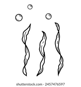 Underwater set of seaweeds, laminaria algae and water bubbles. Ocean plant vector illustration in doodle style isolated.
