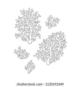 Underwater sketch with set of corals isolated on white background. Nautical illustration for print, card, poster, colouring book. Contour picture.