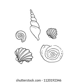 Underwater sketch with set of shells isolated on white background. Nautical illustration for print, card, poster, colouring book. Contour picture.
