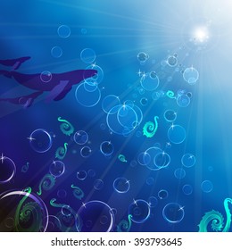 Underwater space, swimming whales, algae and air bubbles. Sun rays penetrate deep