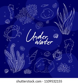 Underwater square card design for exotic places travellers. Vector illustration with contours of water plant, sea horses, crabs, corals, and stones drawn by white ink on blue. Doodle ocean icon set. 