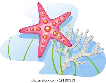 Underwater: starfish, coral, algae. Vector illustration