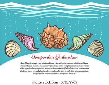 Underwater travel vector poster template with hand drawn sea shells