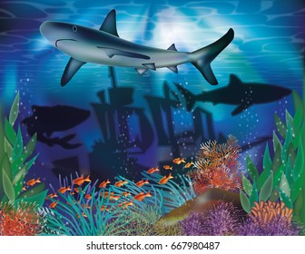 Underwater tropical background with Shark, vector illustration