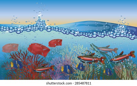 Underwater tropical background  vector illustration