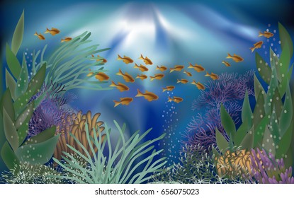 Underwater tropical background, vector illustration
