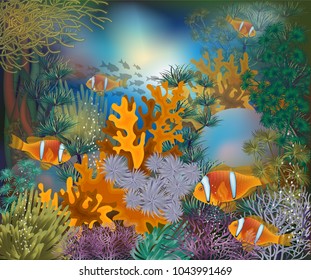 Underwater tropical card with clownfish, vector illustration