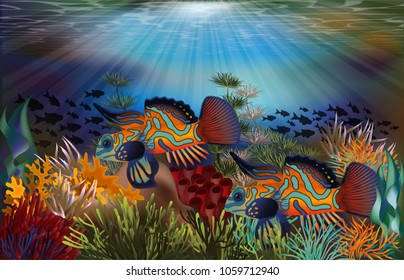 Underwater tropical card with mandarin dragonet fish, vector illustration